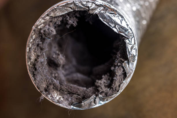 Best HVAC Maintenance and Cleaning  in Austintown, OH